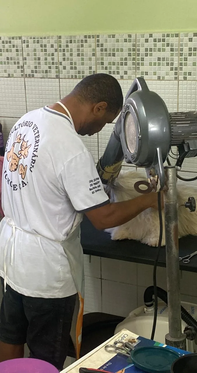 Sérgio no banho e tosa da Bichos & Cia
