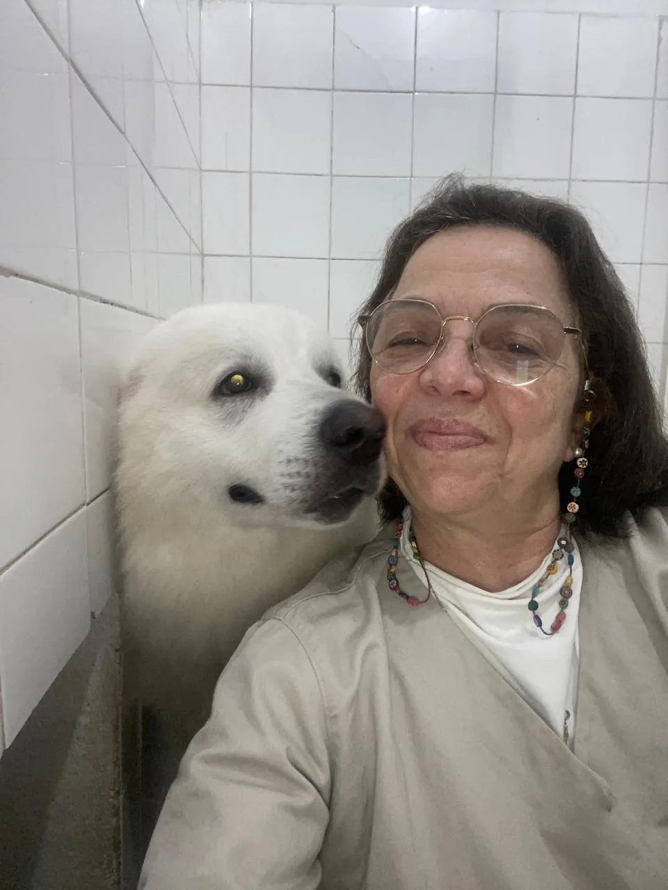 Consultas na Bichos & Cia