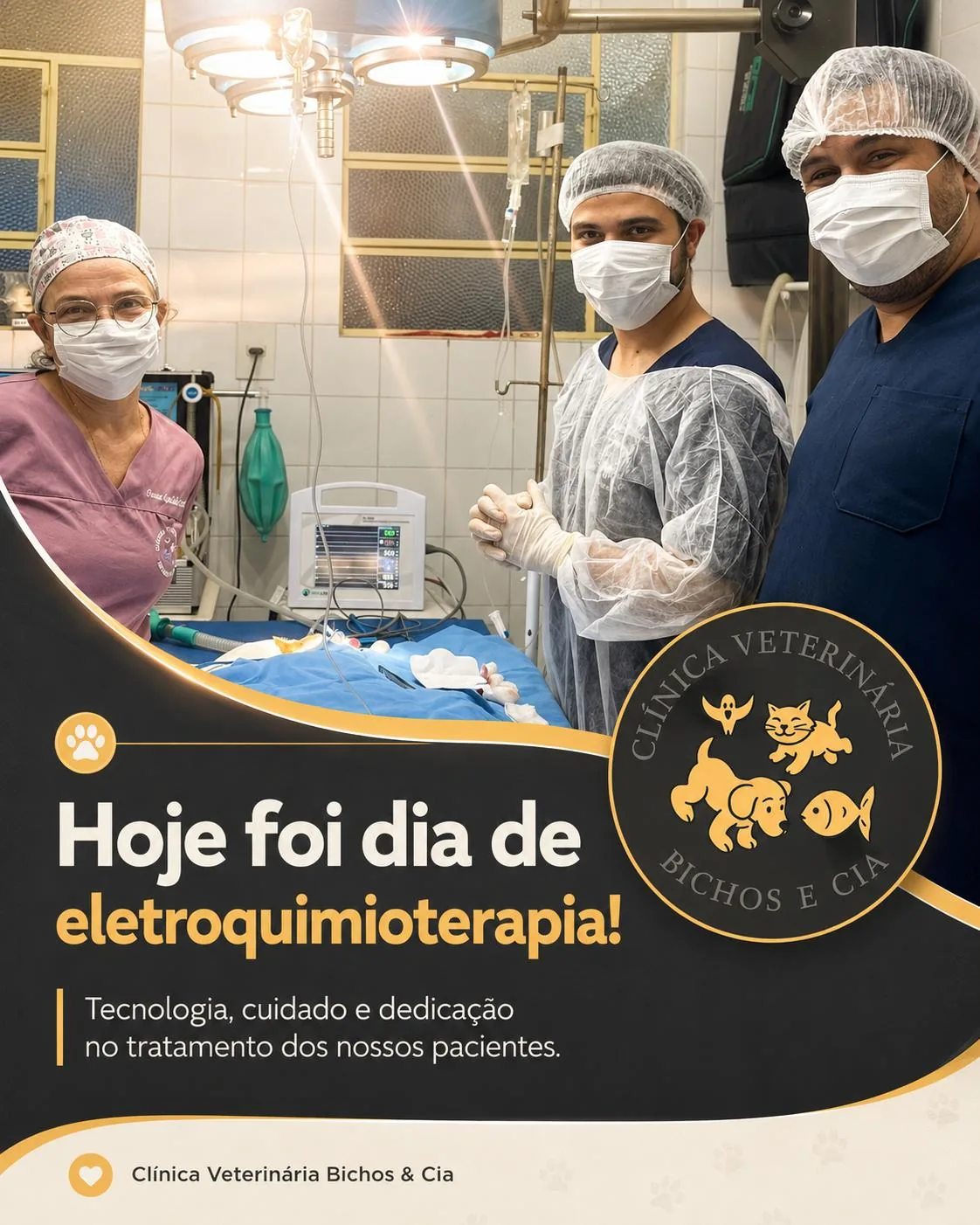 Ozonioterapia na Bichos & Cia